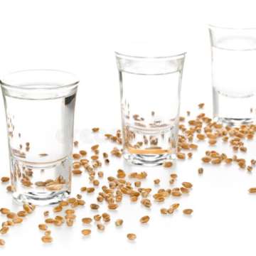 Vodka & Akvavit